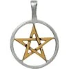 Golden Pentagram Necklace -Chic Jewelry Store 090 AM03