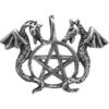 Dragons Pentacle Necklace -Chic Jewelry Store 090 HWP10
