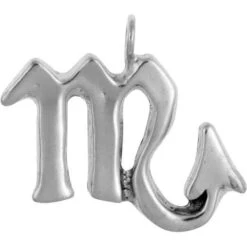 Scorpio Zodiac Charm Necklace