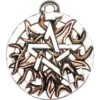 Fire Pentagram Necklace 2 Fire Pentagram Necklace -Chic Jewelry Store 090 PR9