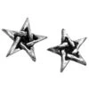 Pentagram Stud Earrings -Chic Jewelry Store AG E164