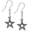 Black Star Earrings 2 Black Star Earrings -Chic Jewelry Store AG E395