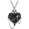 Witches Heart Necklace -Chic Jewelry Store AG P855