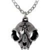 My Forever Friend Skull Necklace 2 My Forever Friend Skull Necklace -Chic Jewelry Store AG P938