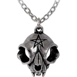 My Forever Friend Skull Necklace