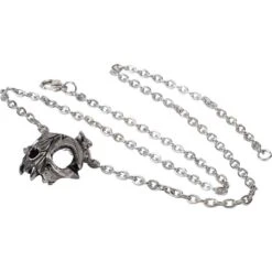 My Forever Friend Skull Necklace -Chic Jewelry Store AG P938 3