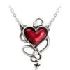 Wicked Heart Necklace -Chic Jewelry Store AG ULFP20