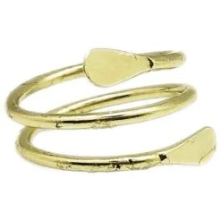 Golden Spiral Medieval Ring