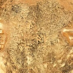 Medium York Disc Viking Brooch – Gold Plated -Chic Jewelry Store AS ABR002 GP 3