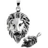 Polished Lions Head Pendant -Chic Jewelry Store AST 1159