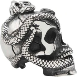 Skull And Snake Pendant -Chic Jewelry Store AST 1228 3