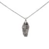 Skull Coffin Necklace -Chic Jewelry Store CCJ338