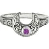 Horned Moon With Amethyst Ring -Chic Jewelry Store DD TR 3637 AM