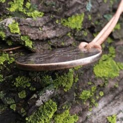 Vegvisir Norse Bronze Necklace 11 Vegvisir Norse Bronze Necklace -Chic Jewelry Store GOT 163 4