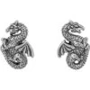 Silver Dragon Stud Earrings 1 Silver Dragon Stud Earrings -Chic Jewelry Store PS TE1155 1