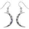 Crescent Moon With Bind Runes Earrings -Chic Jewelry Store PS TER1955