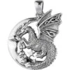 Slumbering Dragon On Moon Pendant -Chic Jewelry Store PS TP3101 1