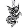 Silver Flying Dragon Pendant -Chic Jewelry Store PS TPD5605
