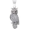 Celtic Horned Owl 3D Pendant 1 Celtic Horned Owl 3D Pendant -Chic Jewelry Store PS TPD5721