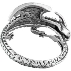 Coiled Dragon Ring 7 Coiled Dragon Ring -Chic Jewelry Store PS TR1439 3