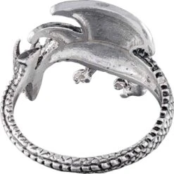 Winged Silver Dragon Ring -Chic Jewelry Store PS TR1599 3