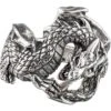 White Bronze Wrapped Fantasy Dragon Ring -Chic Jewelry Store PS WZTR1600 1