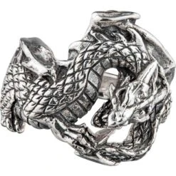White Bronze Wrapped Fantasy Dragon Ring