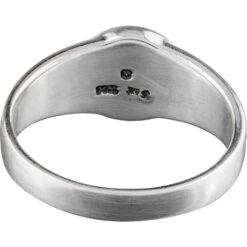 White Bronze Triquetra Seven Star Ring 7 White Bronze Triquetra Seven Star Ring -Chic Jewelry Store PS WZTR3711 3