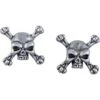 Skull Stud Earrings -Chic Jewelry Store SC2498 1
