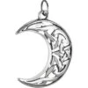 Wiccan Moon And Pentacle Pendant -Chic Jewelry Store WH CP04274