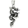 Fierce Dragon Steel Pendant 1 Fierce Dragon Steel Pendant -Chic Jewelry Store WH CP04288